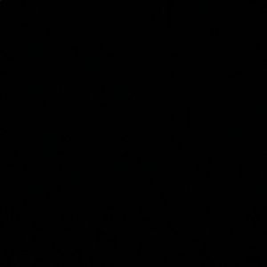 Meet your Posher, Ashlee